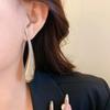 Europäische und amerikanische lange tropfenförmige Anhänger-Ohrringe, Damen tägliche einfache Design-Accessoires Schmuck
