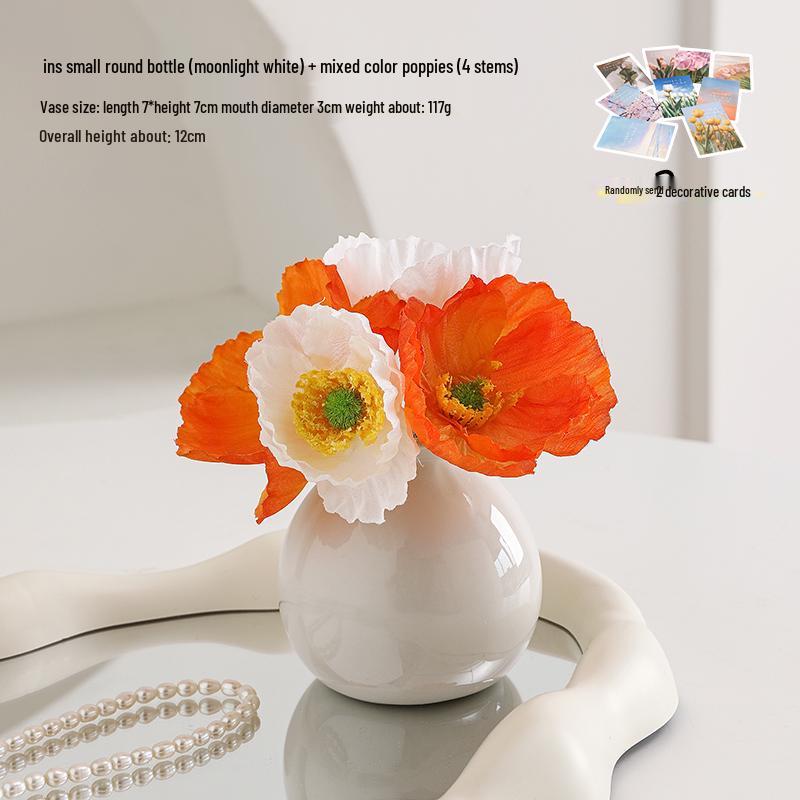 Small Ceramic Desktop Hydroponic Vase for Pothos - Simple Decorative Ornament for Office