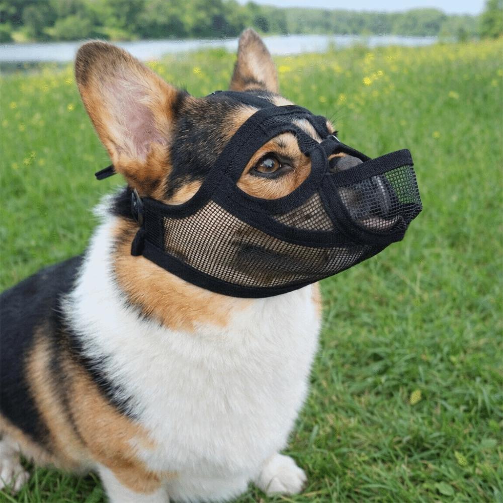 Adjustable Dog Anti-Biting Muzzle Anti-Eating Dog Stop Barking Mask Pet Dog Mask  Outdoor Walking