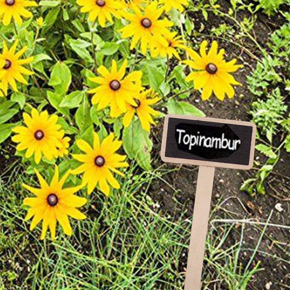 Board Seedling Tags Classification Plant  Markers Plants  Signs Plant Tags Garden Decoration Tools