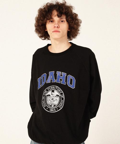 Свитшот Respect Idaho M