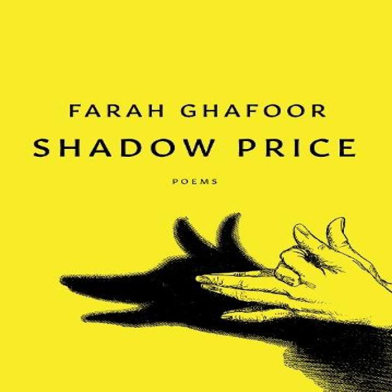 Shadow Price by Farah Ghafoor Paperback Book 9781487012922