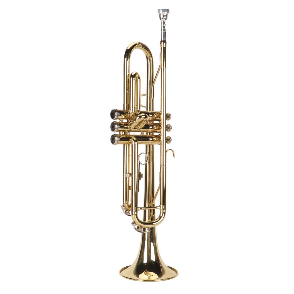 Bb Trumpet Set with Mouthpiece Nickel Plated Bass Trumpet Wind Instrument for Student Beginner