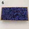Neue 50/30/10g Künstliche Grüne Pflanzen Ewiges Leben Moos Gras Heim Garten Dekoration Mini Landschaft Künstliche Blume DIY Bastelgeschenke