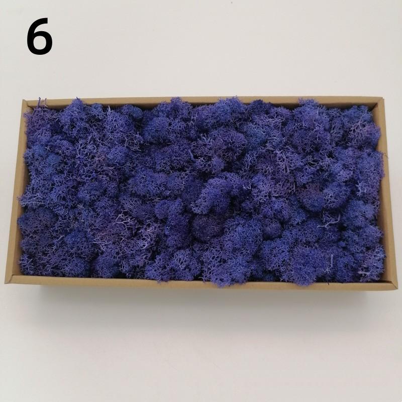 Neue 50/30/10g Künstliche Grüne Pflanzen Ewiges Leben Moos Gras Heim Garten Dekoration Mini Landschaft Künstliche Blume DIY Bastelgeschenke