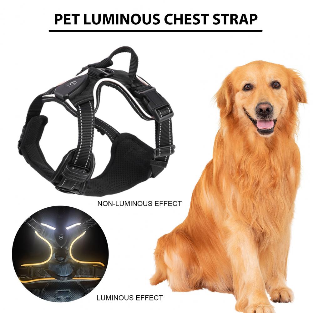 1 set ham luminos pentru animale de companie, reîncărcabil cu LED-uri, ham pentru câine, curea reglabilă pentru piept pentru plimbări nocturne
