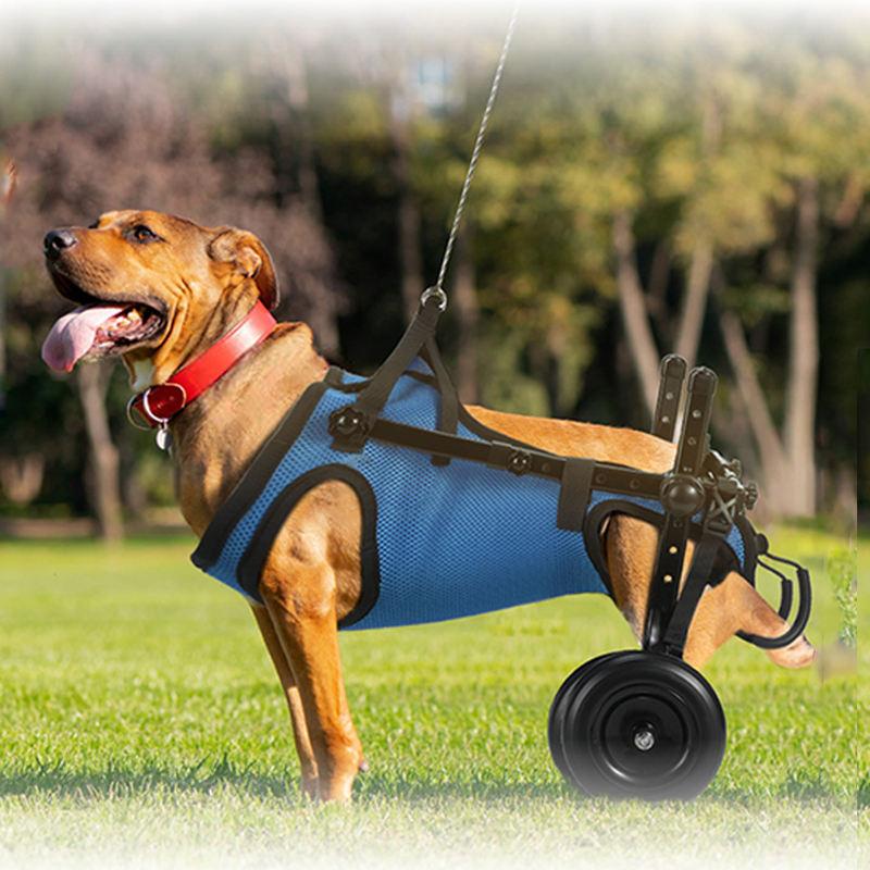 

Pet walking wheelchair for elderly dogs with mobility issues S(Fit5-10catty)