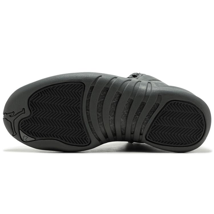 Jordan 12 Retro Psny 130690-003