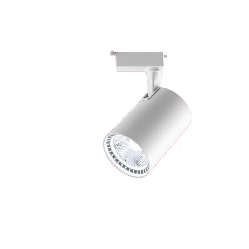 Green Covenant LED Track Light