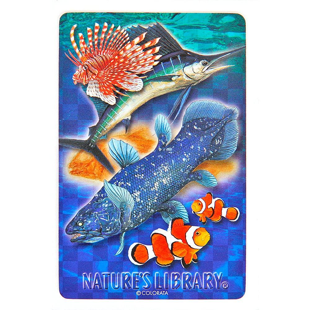 Carolata Real Fish Playing Cards Animal Fish Toy Educational Toy Playing Card Game Picture Book Gift Present (Fish/Quiz Included/Plastic)