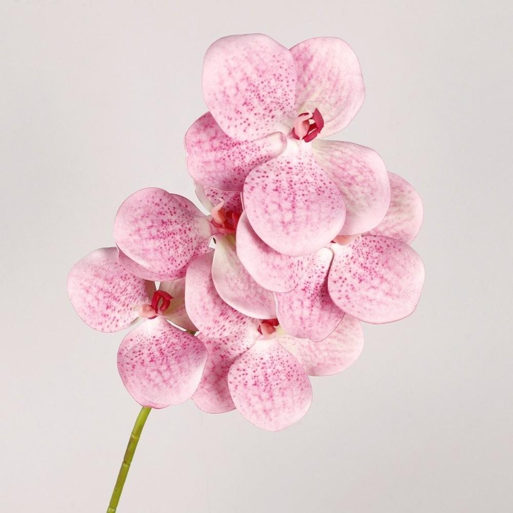 5 Heads Artificial Orchid Real Touch Multi Color Fake Phalaenopsis Flower Iron Wire Inner Lining 67cm Silk Flower