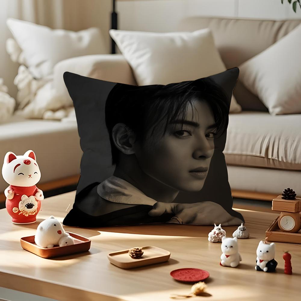 Singer Cha E-Eun W-Woo Cushion Cover Silky Short Plush With Invisible Zipper Dustproof Sofa Pillow Cover For Home Decor