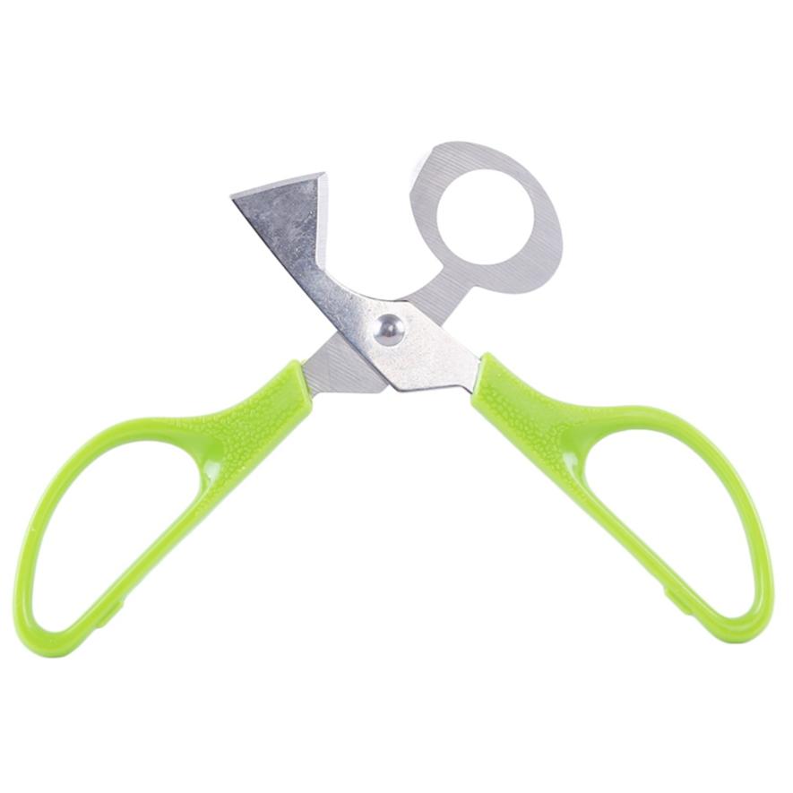 Bird Egg Quail Egg Scissors Stainless Steel Egg Cutting Tool Egg Shell Breaker Cutter Egg Opener