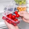 Student Lunch Box Portable Fresh Fruit Container Office Worker Bento Box with Ice Pack Reusable Leakproof Food Storage