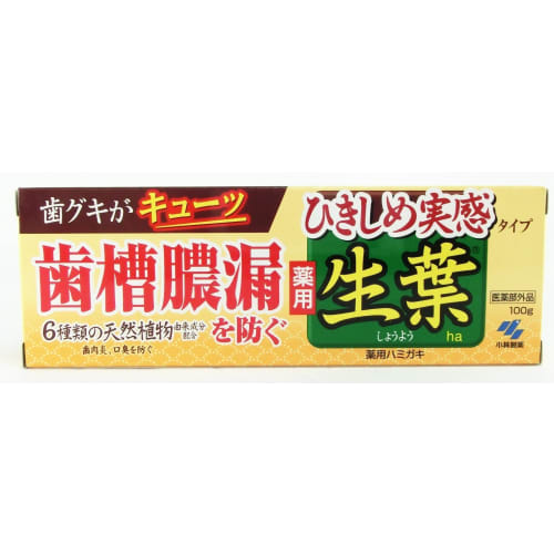 [Bulk Purchase] Hikishime Shoyo Medicated Toothpaste to Prevent Periodontal Disease, Herb Mint Flavor, 100g x 2 Packs