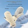 Winter Warm Waterproof Ski Gloves