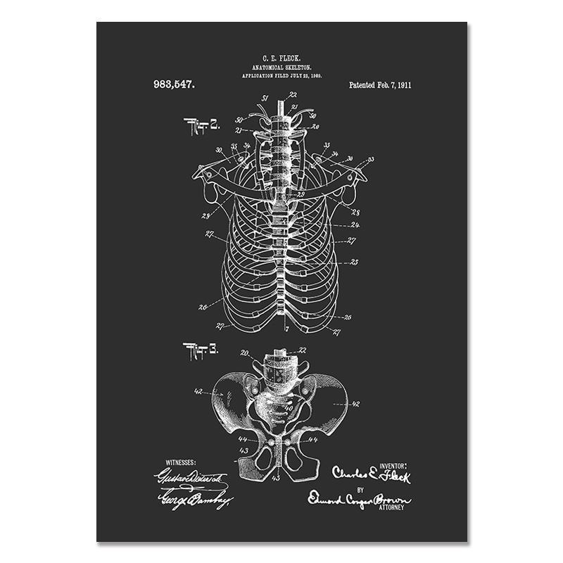 Anatomy Muscle Bone Black and White Canvas Painting Skeleton Organ Wall Art Modern Pictures Posters for Doctor Office Home Decor