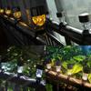 Outdoor Solar Pool Light With Waterproof Ip44 For Garden Decor