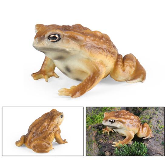 Figurka rosničky Realistická Socha ropuchy Socha Ornament Dekorace Děti Vzdělávací simulace Model divokého zvířete Hračka Batolata Chlapci Dívky Dárek