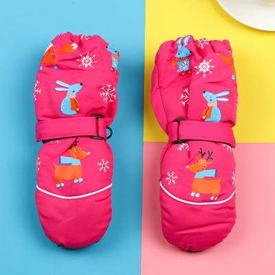 Skifahren & Snowboarding – Skihandschuhe