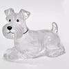 2/5Pcs Pet Hair Storage Box Keychain Portable Pet Memory Holder Secret Fur Collection Box Pet Hair Souvenir Box Keyring