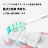 LINILEEA Compatible Philips Sonicare Electric Toothbrush Replacement Plaque Compatible with and Regular Pack of 8 Brushes, Removal, DiamondClean,