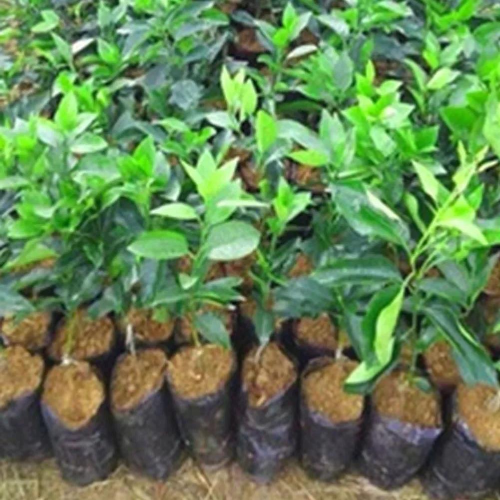 

100PCS Thicken Nursery Bags Plant Grow Bags Pots Flower Planting Bags Plastic Flowers Growing Bags With Breathable Drain Hole 17x25cm