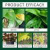 Activador de suelo, suplemento de nutrientes para plantas, aireación del suelo, acondicionamiento del suelo, germinación de semillas, cuidado de la jardinería
