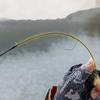 Brangdy UL Micro-Lure Casting Fishing Rod