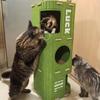 Space-saving Detachable Cat Bed with Scratching Posts and Hanging Toys, Easy-to-clean Indoor Cat Pet Furniture, Interactive Play and Rest Area.