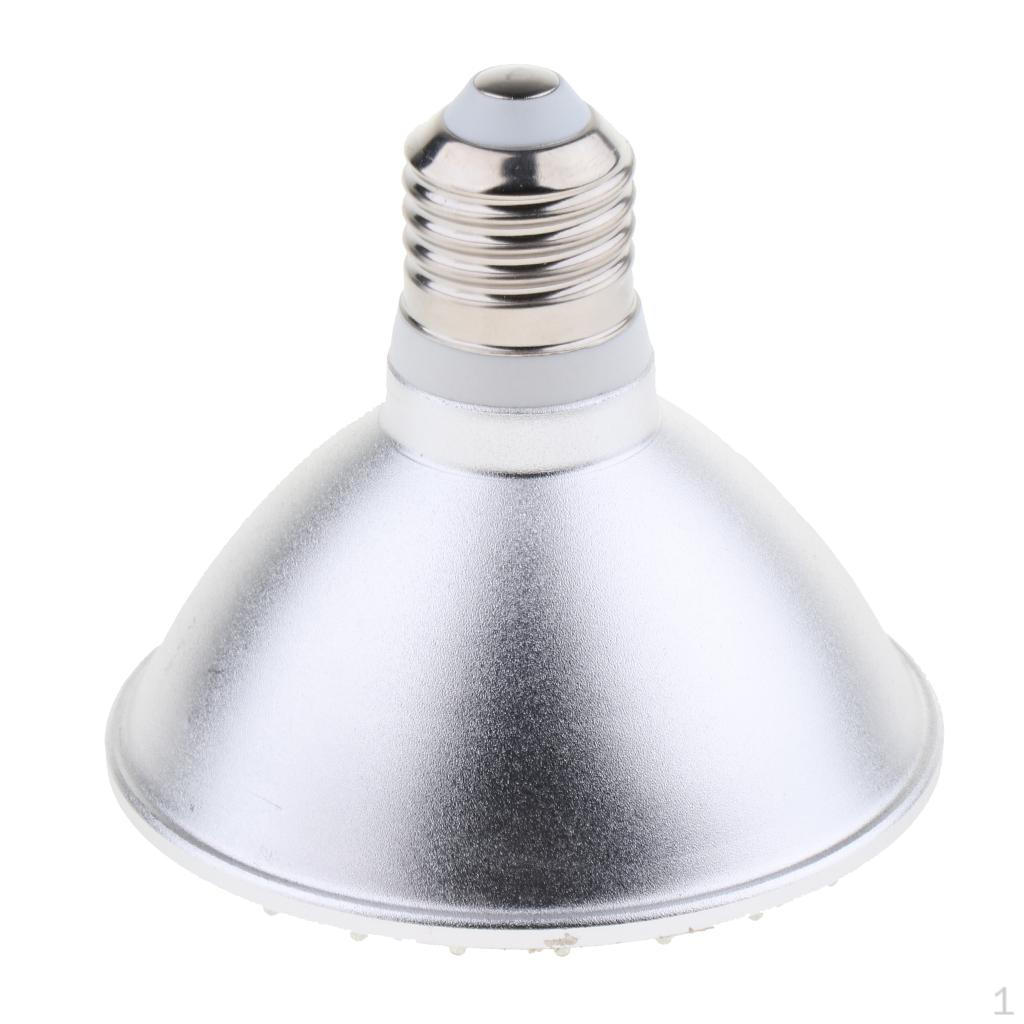 LED Bulb IP30 Dimmable In Aluminum PAR30 with Cold White