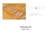 Korean Princess-Style Lace Trim Bedding Set - Brushed Four-Piece for Spring/Autumn