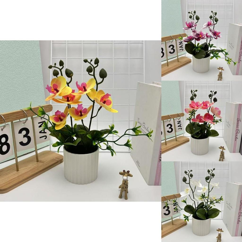 Fake Butterfly Orchid Flower With Pot For Indoor Home Decor And Greenery Enhancement