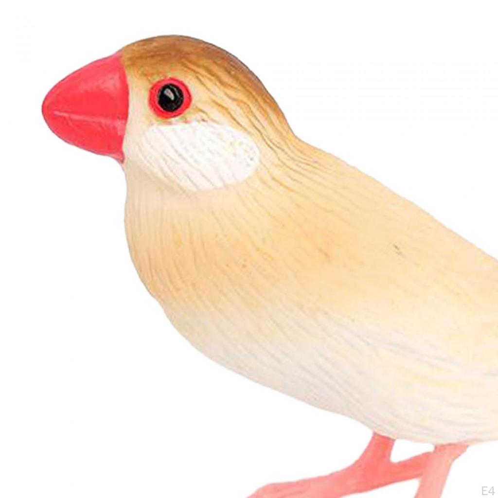 Statuine di uccelli, Modello di uccellini, Giocattolo scientifico, Apprendimento sugli animali per decorazione di feste