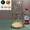 Luminous Sea Urchin Glass Dome with Preserved Flowers and String Lights