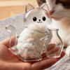 Creative Pet Hair Keepsake Box Transparent Cat Hair Storage Box  for Dog Cat Hair