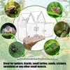 Ventilated Acrylic Reptiles Habitat Terrarium with Air Circulations Ensuring Healthy Environment for Small Pet Animal