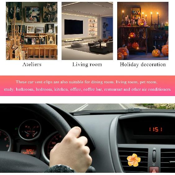 Wevdn 4PCS Flower Car Air Vent Clips, Colorful Tropical Flower Air Freshener Vent Clips with Aromatic Pad, Air Conditioning Outlet Clip Plumeria