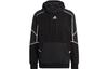 Sweatshirts Men's Black Hooded Moderate Regular HL6913