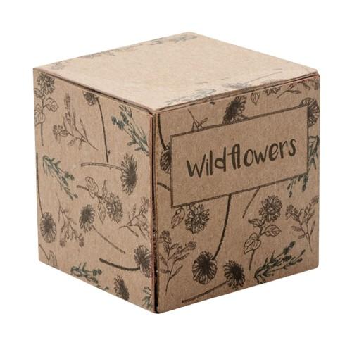 MidOcean Wildflower Bomb Seed Growing Kit