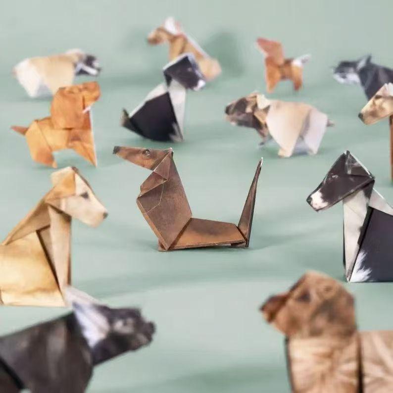 Geometria Origami: Oltre 50 Stili di Gatti e Cani di Carta Fai da Te
