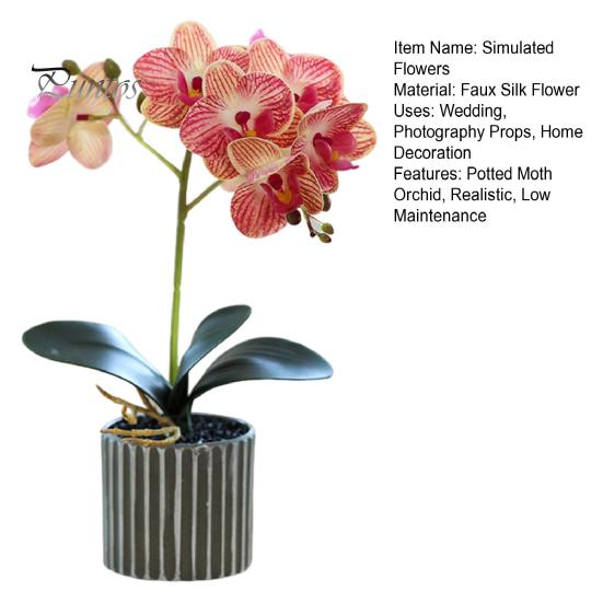 Yapay Saksı Bitkisi Sahte Güve Orkide Bonsai Masaüstü Yapay Saksı Phalaenopsis Çiçekleri Ev Yemek Masası Ofis Masası Dekorasyonu