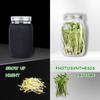 Seed Sprouting Jar Kit Durable Glass Bean Sprouts Growing Kit with Stainless Steel Screen Sprout Lids Stands Shading Cloths Tray