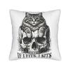 If I Fits I Sits Black Cat Skull Funny Pillow Case  Print Pillow Cover For Couch Sofa Bedroom Morden Pillowcases