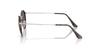 Ray-Ban Round Metal Sunglasses RB3447 9277B1 53 - Matte Havana on Matte Silver / Dark Grey Glass Lens