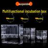 Guppy Double-Layer Transparent Breeding Box: Isolation, Hatching, & Raising Solution for Fish Tanks.