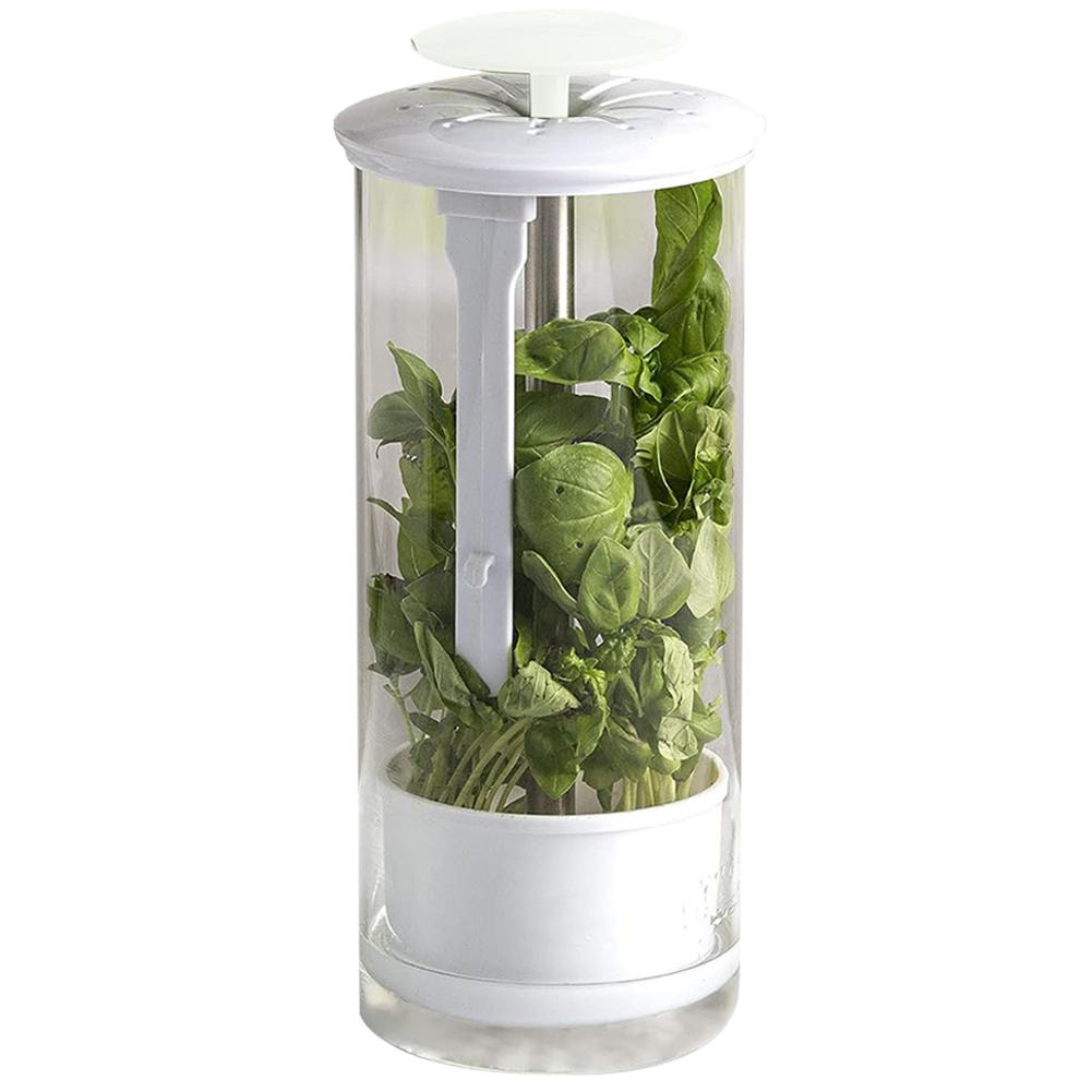 Свежий Хранитель Трав Консервант Трав с Вентиляцией Хранитель Трав Прозрачный Контейнер для Хранения Трав для Кинзы Мяты Петрушки Спаржи белый