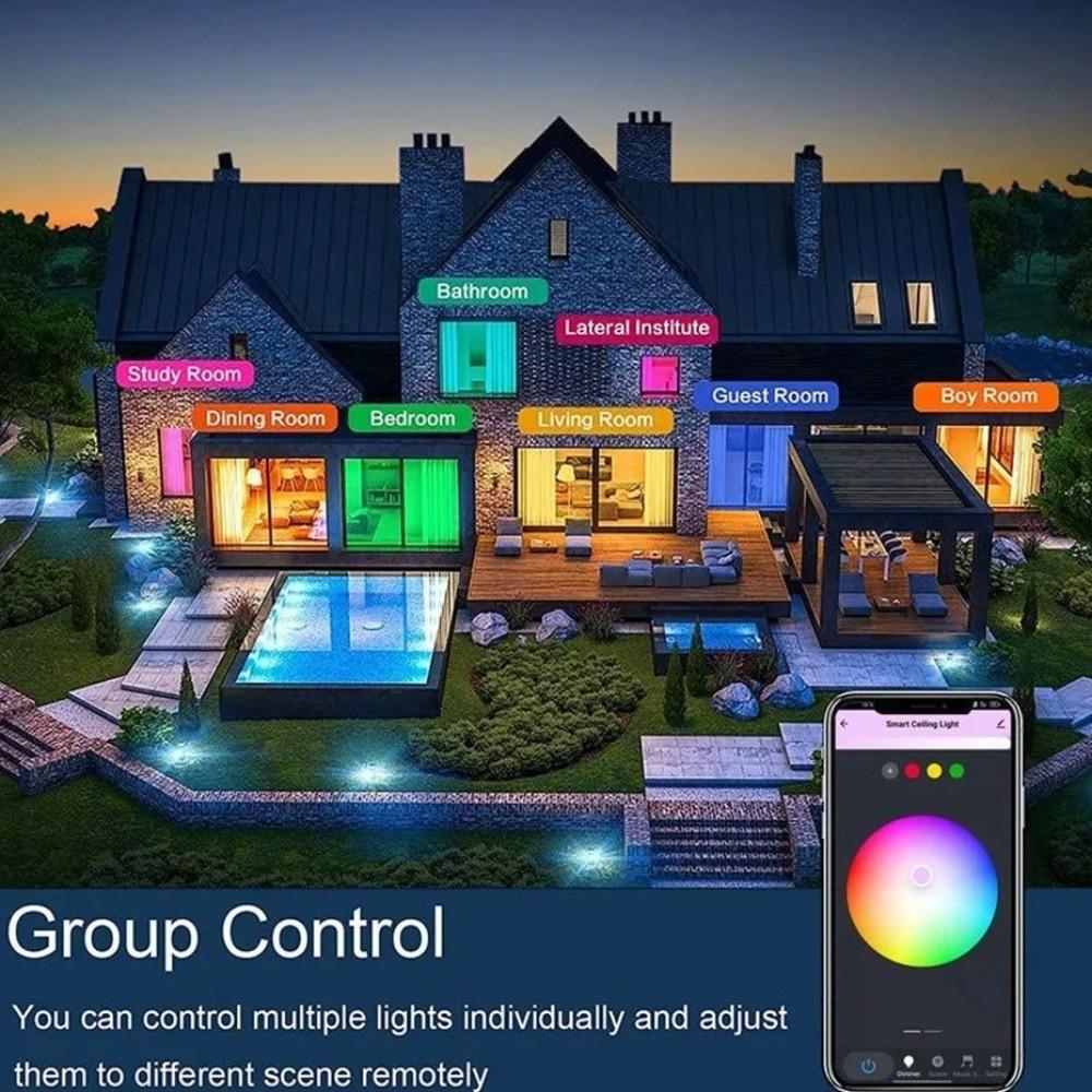 24W Power Tuya Smart WiFi Ceiling Light RGB Color Changing Dimmable Function Smart LED Ceiling Light 220V Voltage Flush Mount