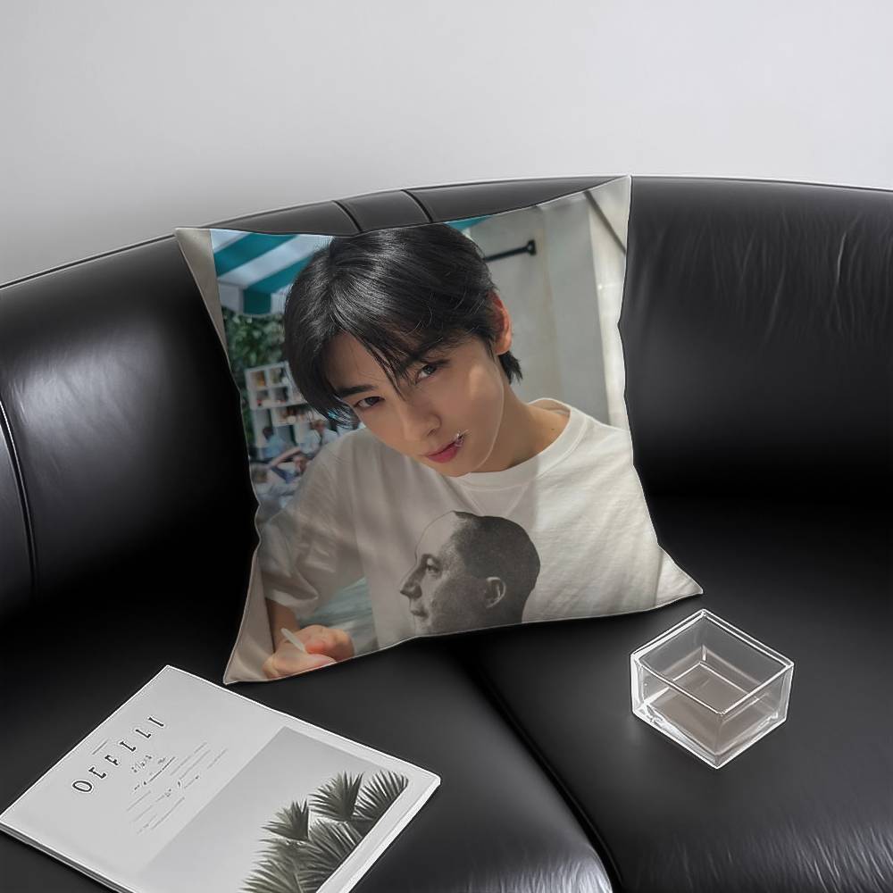 Kpop Singer Cha EEun WWoo Pillow Case Antidustmite Invisible zipper Sofa Bed