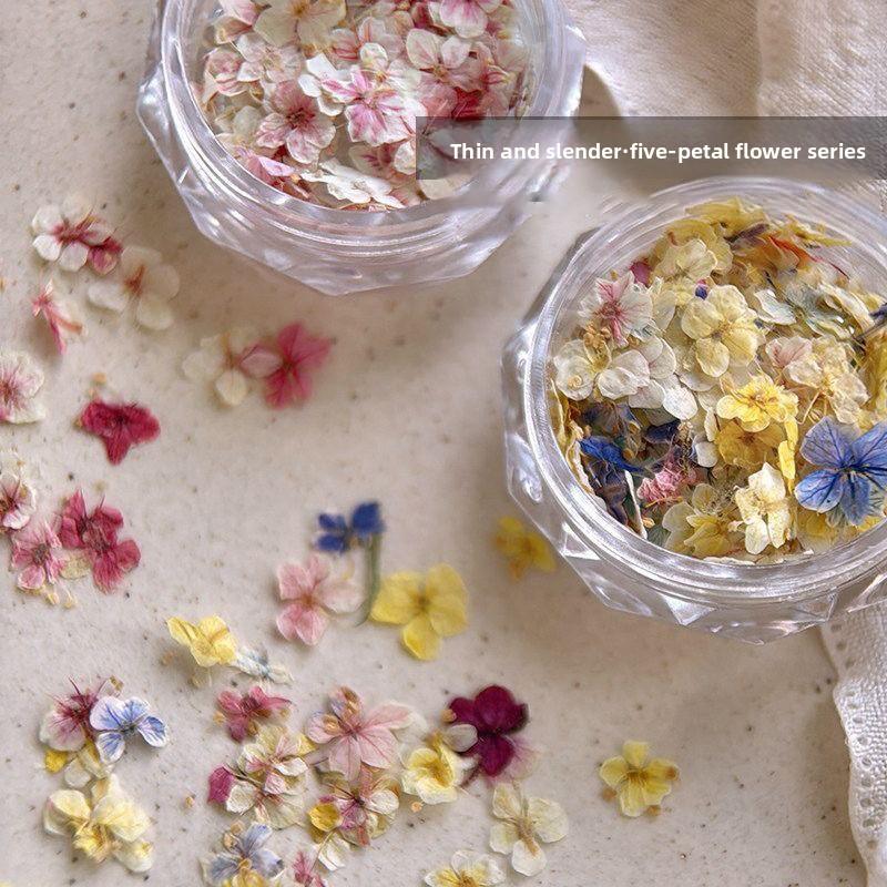 Materiale fiore secco per nail art misto squisito materiale fiore a cinque petali decorazione unghie floreale piccola gioielleria per unghie floreale
